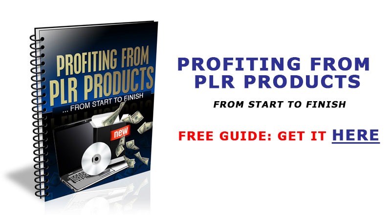 Profiting from PLR Products